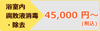 浴室内腐敗液消毒・除去 45,000 円～